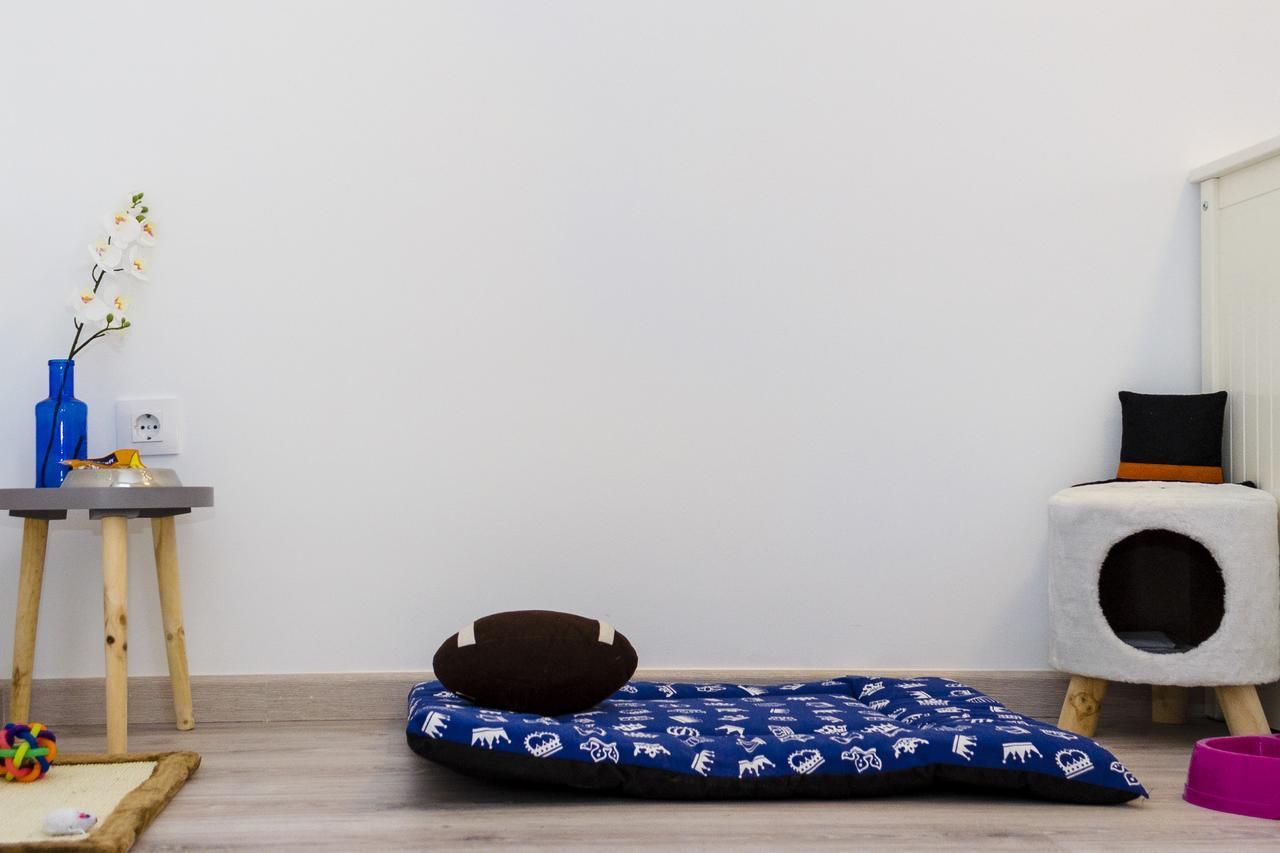 Apartup Viveros Pets Valencia Bagian luar foto